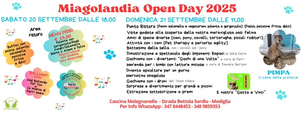 open day 2025